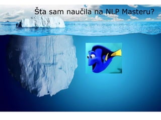 Šta sam naučila na NLP Masteru?
 