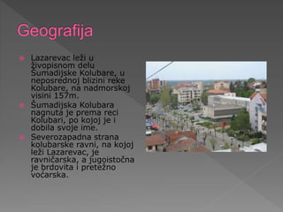 Lazarevac leži u
živopisnom delu
Šumadijske Kolubare, u
neposrednoj blizini reke
Kolubare, na nadmorskoj
visini 157m.
 Šumadijska Kolubara
nagnuta je prema reci
Kolubari, po kojoj je i
dobila svoje ime.
 Severozapadna strana
kolubarske ravni, na kojoj
leži Lazarevac, je
ravničarska, a jugoistočna
je brdovita i pretežno
voćarska.
 