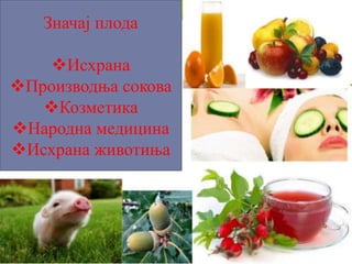 Значај плода
Исхрана
Производња сокова
Козметика
Народна медицина
Исхрана животиња
 