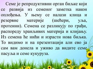 Семе је репродуктивни орган биљке који
се развија из семеног заметка након
оплођења. У њему се налази клица и
резервне материје (шећери, уља,
протеини). Семена се разликују по грађи,
распореду хранљивих материја и клијању.
Из семена ће нићи и израсти нова биљка.
То видимо и на презентацији али ево ја
сам вам донела и уживо да видите семе
пасуља и семе кукуруза.
 
