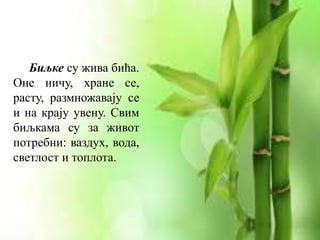Биљке су жива бића.
Оне ничу, хране се,
расту, размножавају се
и на крају увену. Свим
биљкама су за живот
потребни: ваздух, вода,
светлост и топлота.
 