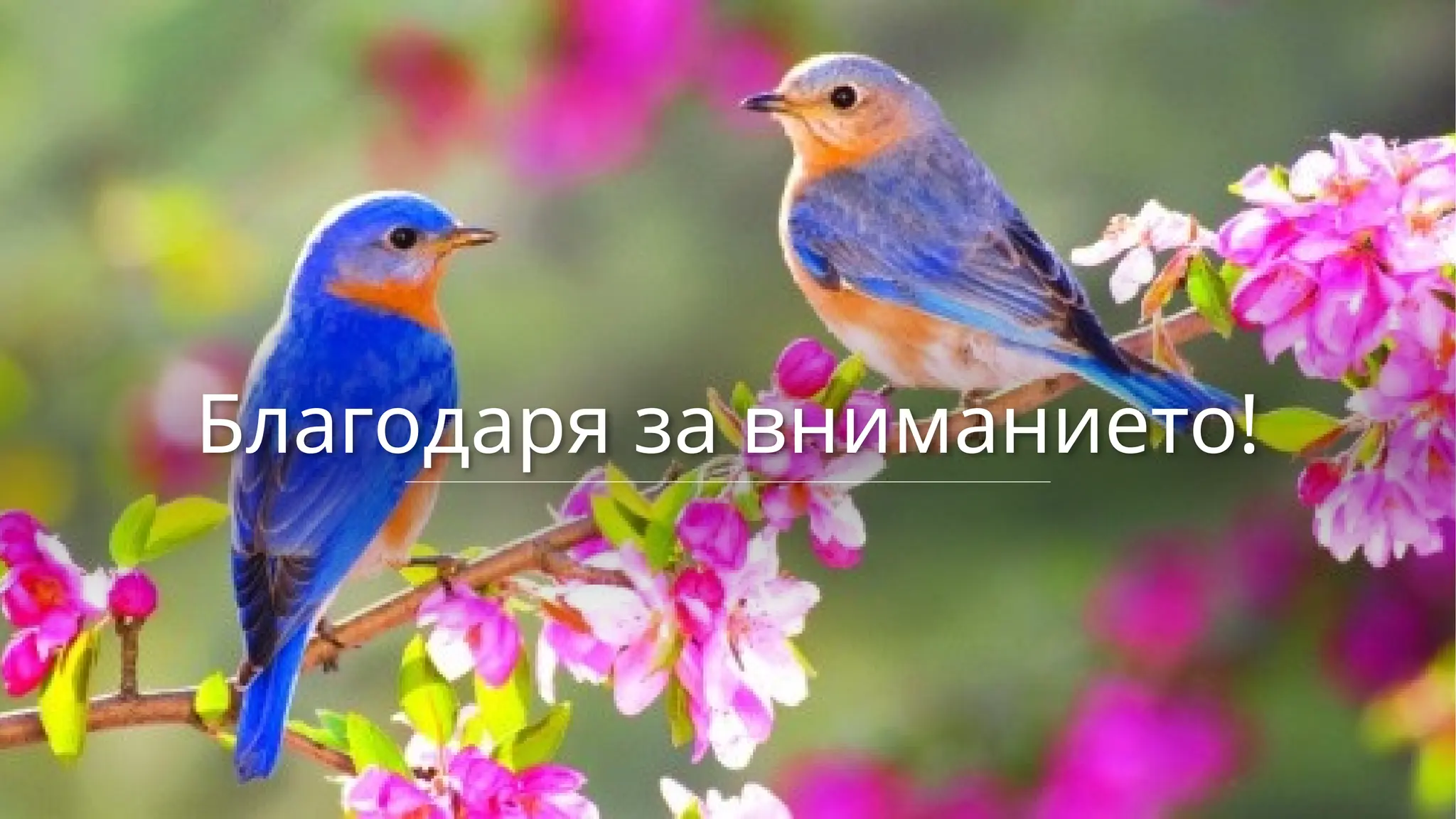 Благодаря за вниманието!
 