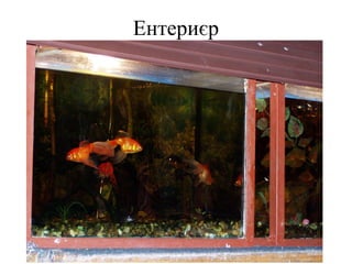 Ентериєр
 
