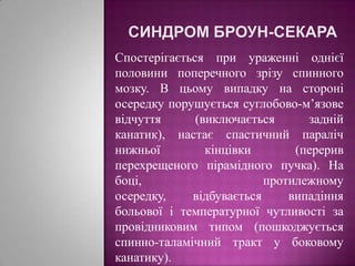 Синдром броун-секараСпостерігається при ураженні однієї половини поперечного зрізу спинного мозку. В цьому випадку на стороні осередку порушується суглобово-м’язове відчуття (виключається задній канатик), настає спастичний параліч нижньої кінцівки (перерив перехрещеного пірамідного пучка). На боці, протилежному осередку, відбувається випадіння больової і температурної чутливості за провідниковим типом (пошкоджується спинно-таламічний тракт у боковому канатику). 