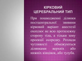 Кірковийцеребральний типПри пошкодженні ділянки постцентральної звивини кірковий варіант анестезії охоплює не всю протилежну сторону тіла, а тільки зону проекції осередку. Розлади чутливості обмежуються ділянками верхніх або нижніх кінцівок, або тулуба.