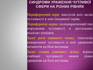 Синдроми ураження чутливої сфери на різних рівнях  Периферичний нерв: анестезія всіх видів чутливості в зоні іннервації нерва.Периферичні нерви: поліневритичний тип порушення чутливості в дистальних відділах кінцівок.Задні роги спинного мозку: гіпестезія поверхневої чутливості в зоні ураження сегментів на боці вогнища.Задні стовпи спинного мозку: втрата глибокої чутливості нижче рівня ураження на боці вогнища.