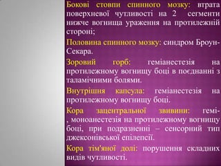 Бокові стовпи спинного мозку: втрата поверхневої чутливості на 2  сегменти нижче вогнища ураження на протилежній стороні;Половина спинного мозку: синдром Броун-Секара.Зоровий горб: геміанестезія на протилежному вогнищу боці в поєднанні з таламічними болями.Внутрішня капсула: геміанестезія на протилежному вогнищу боці.Кора зацентральної звивини: гемі-, моноанестезія на протилежному вогнищу боці, при подразненні – сенсорний тип джексонівської епілепсії.Кора тім'яної долі: порушення складних видів чутливості.