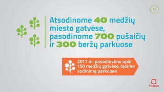 14
Atsodinome 40 medžių
miesto gatvėse,
pasodinome 700 pušaičių
ir 300 beržų parkuose
2017 m. pasodinsime apie
150 medžių gatvėse, tęsime
sodinimą parkuose
 