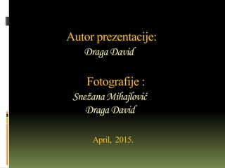 Autor prezentacije:
Draga David
Fotografije :
Snežana Mihajlović
Draga David
April, 2015.
 