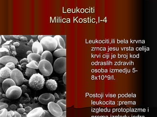 Leukociti
Milica Kostic,I-4
Leukociti,ili bela krvna
zrnca jesu vrsta celija
krvi ciji je broj kod
odraslih zdravih
osoba izmedju 58x10^9/l.
Postoji vise podela
leukocita :prema
izgledu protoplazme i

 