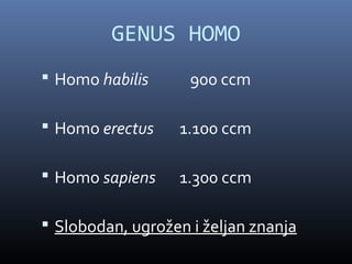 GENUS HOMO
 Homo habilis      900 ccm

 Homo erectus    1.100 ccm

 Homo sapiens    1.300 ccm

 Slobodan, ugrožen i željan znanja
 