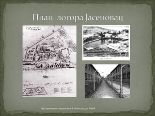 Ауторизовано предавање & Александар Бојић
 
