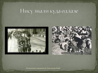 Ауторизовано предавање & Александар Бојић
 