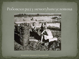 Ауторизовано предавање & Александар Бојић
 