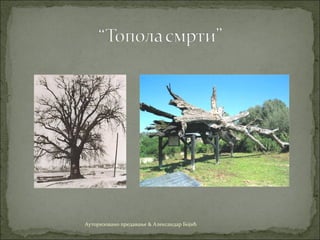 Ауторизовано предавање & Александар Бојић
 