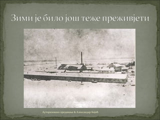 Ауторизовано предавање & Александар Бојић
 