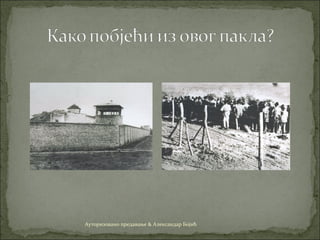 Ауторизовано предавање & Александар Бојић
 