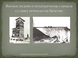 Ауторизовано предавање & Александар Бојић
 
