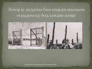 Ауторизовано предавање & Александар Бојић
 