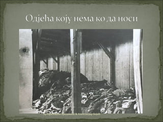 Ауторизовано предавање & Александар Бојић
 