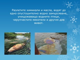 Разлетите химикали и масла, водят до
едно опустошително водно замърсяване,
     унищожаващо водните птици,
  черупчестите мекотели и другия див
                живот.
 
