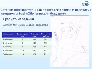 Сетевой образовательный проект «Наблюдай и исследуй»  программы Intel «Обучение для будущего» Предметные задания Задание №2. Движение крови по сосудам Измерения Длина ногтя, мм Время, сек Скорость, мм/сек 1-ый палец 8 1,49 5,37 2-ой палец 8 1,69 4,73 3-ий палец 8 1,08 7,41 4-ый палец 10 1,61 6,21 5-ый палец 10 1,38 7,25 