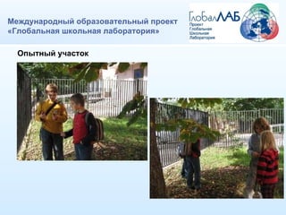 Международный образовательный проект «Глобальная школьная лаборатория» Опытный участок 
