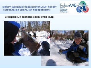 Международный образовательный проект «Глобальная школьная лаборатория» Синхронный экологический стоп-кадр 