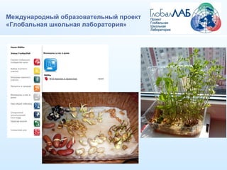 Международный образовательный проект «Глобальная школьная лаборатория» 