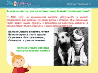 А знаешь ли ты, что не только люди бывают космонавтами?
Белка и Стрелка в космос летали
Белка и стрелка много видали:
Спутники и быстрые кометы,
Созвездья и разные планеты.
В 1960 году на космическом корабле «Спутник-2» в космос
отправились две собачки. Их звали Белка и Стрелка. Они совершили
полет вокруг нашей планеты и благополучно вернулись обратно. В
космос летают мыши, обезьяны и даже семена растений
Белка и Стрелка навсегда
останутся героями космоса
 