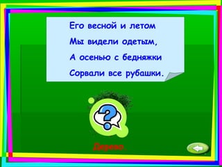 Его весной и летом
Мы видели одетым,
А осенью с бедняжки
Сорвали все рубашки.
Дерево.
 