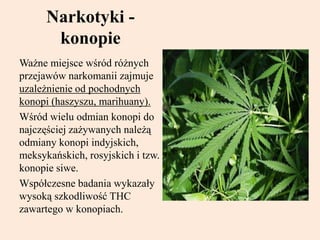 Narkotyki -
konopie
Ważne miejsce wśród różnych
przejawów narkomanii zajmuje
uzależnienie od pochodnych
konopi (haszyszu, marihuany).
Wśród wielu odmian konopi do
najczęściej zażywanych należą
odmiany konopi indyjskich,
meksykańskich, rosyjskich i tzw.
konopie siwe.
Współczesne badania wykazały
wysoką szkodliwość THC
zawartego w konopiach.
 