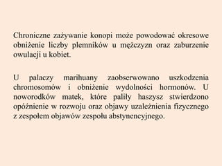 Chroniczne zażywanie konopi może powodować okresowe
obniżenie liczby plemników u mężczyzn oraz zaburzenie
owulacji u kobiet.
U palaczy marihuany zaobserwowano uszkodzenia
chromosomów i obniżenie wydolności hormonów. U
noworodków matek, które paliły haszysz stwierdzono
opóźnienie w rozwoju oraz objawy uzależnienia fizycznego
z zespołem objawów zespołu abstynencyjnego.
 