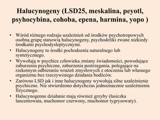 Halucynogeny (LSD25, meskalina, peyotl,
psyhocybina, cohoba, epena, harmina, yopo )
• Wśród różnego rodzaju uzależnień od środków psychotropowych
osobną grupę stanowią halucynogeny, psychodeliki zwane niekiedy
środkami psychodysleptycznymi.
• Halucynogeny to środki pochodzenia naturalnego lub
syntetycznego.
• Wywołują w psychice człowieka zmiany świadomości, powodujące
zaburzenia psychiczne, zaburzenia postrzegania, polegające na
rzekomym odbieraniu wrażeń zmysłowych z otoczenia lub własnego
organizmu bez rzeczywistego działania bodźców.
• Zarówno LSD jak i inne halucynogeny wywołują silne uzależnienie
psychiczne. Nie stwierdzono dotychczas jednoznacznie uzależnienia
fizycznego.
• Halucynogenne działanie mają również grzyby (łasiczka
lancentowata, muchomor czerwony, muchomor tygrysowaty).
 