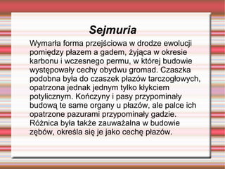 Sejmuria
Wymarła forma przejściowa w drodze ewolucji
pomiędzy płazem a gadem, żyjąca w okresie
karbonu i wczesnego permu, w której budowie
występowały cechy obydwu gromad. Czaszka
podobna była do czaszek płazów tarczogłowych,
opatrzona jednak jednym tylko kłykciem
potylicznym. Kończyny i pasy przypominały
budową te same organy u płazów, ale palce ich
opatrzone pazurami przypominały gadzie.
Różnica była także zauważalna w budowie
zębów, określa się je jako cechę płazów.
 