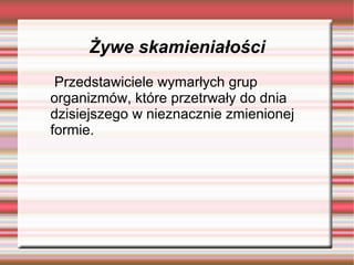 Żywe skamieniałości
Przedstawiciele wymarłych grup
organizmów, które przetrwały do dnia
dzisiejszego w nieznacznie zmienionej
formie.
 