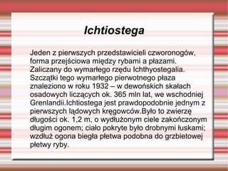 Ichtiostega
Jeden z pierwszych przedstawicieli czworonogów,
forma przejściowa między rybami a płazami.
Zaliczany do wymarłego rzędu Ichthyostegalia.
Szczątki tego wymarłego pierwotnego płaza
znaleziono w roku 1932 – w dewońskich skałach
osadowych liczących ok. 365 mln lat, we wschodniej
Grenlandii.Ichtiostega jest prawdopodobnie jednym z
pierwszych lądowych kręgowców.Było to zwierzę
długości ok. 1,2 m, o wydłużonym ciele zakończonym
długim ogonem; ciało pokryte było drobnymi łuskami;
wzdłuż ogona biegła płetwa podobna do grzbietowej
płetwy ryby.
 