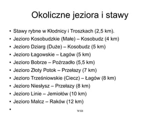 WSB
Okoliczne jeziora i stawy
● Stawy rybne w Kłodnicy i Troszkach (2,5 km).
● Jezioro Kosobudzkie (Małe) – Kosobudz (4 km)
● Jezioro Dziarg (Duże) – Kosobudz (5 km)
● Jezioro Łagowskie – Łagów (5 km)
● Jezioro Bobrze – Poźrzadło (5,5 km)
● Jezioro Złoty Potok – Przełazy (7 km)
● Jezioro Trześniowskie (Ciecz) – Łagów (8 km)
● Jezioro Niesłysz – Przełazy (8 km)
● Jezioro Linie – Jemiołów (10 km)
● Jezioro Malcz – Raków (12 km)
●
 