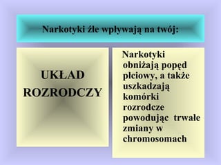 Narkotyki źle wpływają na twój:
UKŁAD
ROZRODCZY
Narkotyki
obniżają popęd
płciowy, a także
uszkadzają
komórki
rozrodcze
powodując trwałe
zmiany w
chromosomach
 
