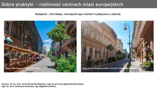 Dobre praktyki - roślinność centrach miast europejskich
http://bebudapest.hu/car-free-areas/
Autorzy: dr inż. arch. Anna B...