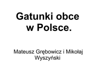 Gatunki obce
w Polsce.
Mateusz Grębowicz i Mikołaj
Wyszyński
 