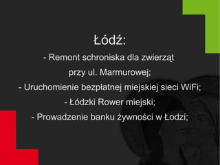 Łódź:
- Remont schroniska dla zwierząt
przy ul. Marmurowej;
- Uruchomienie bezpłatnej miejskiej sieci WiFi;
- Łódzki Rower miejski;
- Prowadzenie banku żywności w Łodzi;
 