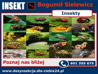 Bogumił Sielewicz www.dezynsekcja.dla-ciebie24.pl Poznaj nas bliżej Insekty 