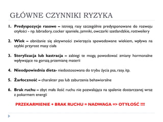 1. Predyspozycje rasowe – istnieją rasy szczególnie predysponowane do rozwoju
otyłości - np. labradory, cocker spaniele, jamniki, owczarki szetlandzkie, rottweilery
2. Wiek – obniżanie się aktywności zwierzęcia spowodowane wiekiem, wpływa na
szybki przyrost masy ciała
3. Sterylizacja lub kastracja – zabiegi te mogą powodować zmiany hormonalne
wpływające na gorszą przemianę materii
4. Nieodpowiednia dieta- niedostosowana do trybu życia psa, rasy, itp.
5. Żarłoczność – charakter psa lub zaburzenia behawioralne
6. Brak ruchu – zbyt mała ilość ruchu nie pozwalająca na spalenie dostarczanej wraz
z pokarmem energii
PRZEKARMIENIE + BRAK RUCHU = NADWAGA => OTYŁOŚĆ !!!!
GŁÓWNE CZYNNIKI RYZYKA
 
