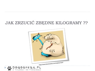 JAK ZRZUCIĆ ZBĘDNE KILOGRAMY ??
 
