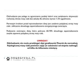 Odchudzanie psa polega na ograniczeniu podaży kalorii oraz zwiększeniu aktywności
ruchowej. Utrata masy ciała bez szkody dla zdrowia wynosi 1-2% tygodniowo.
Pierwszym krokiem przed wprowadzeniem diety jest ustalenie pożądanej utraty masy
ciała i obliczenie aktualnego zapotrzebowania energetycznego zwierzęcia.
Podawanie zwierzęciu diety, która pokrywa 60-70% aktualnego zapotrzebowania
zwykle zapewnia pożądaną utratę masy ciała.
UWAGA!!!
Odchudzanie nie może przebiegać zbyt gwałtownie! Powrót do normalnej,
fizjologicznej masy ciała powinien zająć (w zależności od stopnia nadwagi)
od kilku do kilkunastu miesięcy.
 