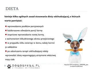 DIETA
wprowadzenie posiłków porcjowanych
każdorazowe odważanie porcji karmy
stopniowe wprowadzanie nowej karmy,
z zachowaniem kilkudniowego okresu przejściowego
w przypadku kilku zwierząt w domu, należy karmić
je oddzielnie
po zakończeniu terapii odchudzającej należy
wprowadzić dietę wspomagającą utrzymanie właściwej
masy ciała
Istnieje kilka ogólnych zasad stosowania diety odchudzającej, o których
warto pamiętać:
http://pl.123rf.com/photo_12810436_pies
-z-uszami-krolika.html
 