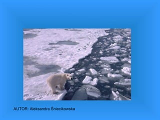 Topnienie lodowców AUTOR: Aleksandra Śniecikowska 