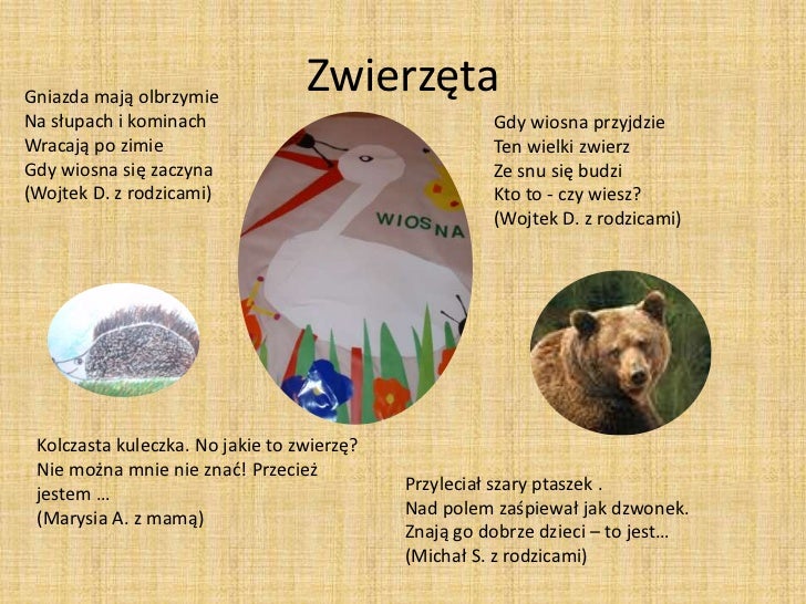 Po Co Klamiesz Dobrze Wiesz Jak Jest
