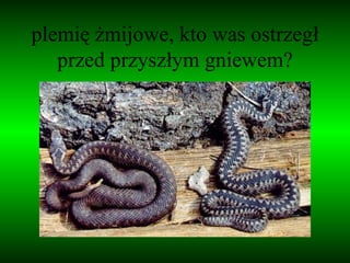 plemię żmijowe, kto was ostrzegł przed przyszłym gniewem? 